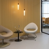 Artifort Shark Lounge Fauteuil thumbnail afbeelding 2
