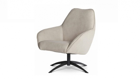 Afbeelding Dyyk Faas Fauteuil