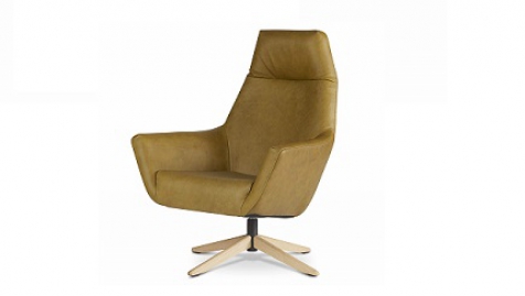 Afbeelding Dyyk Julius Fauteuil