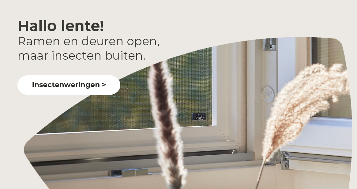 woonwinkel Maastricht