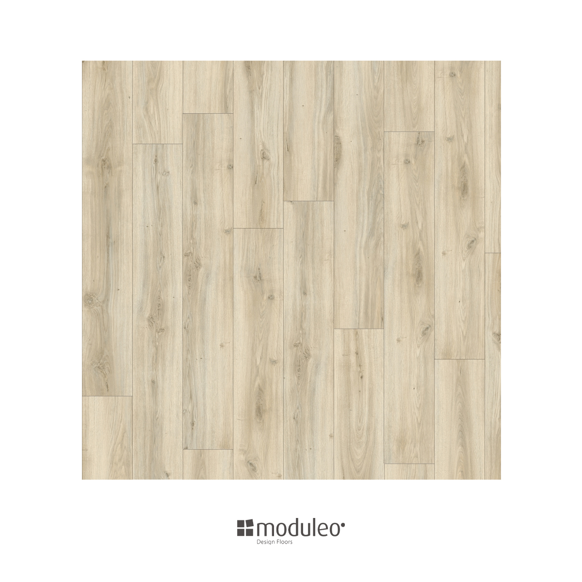 Roots Classic Oak
